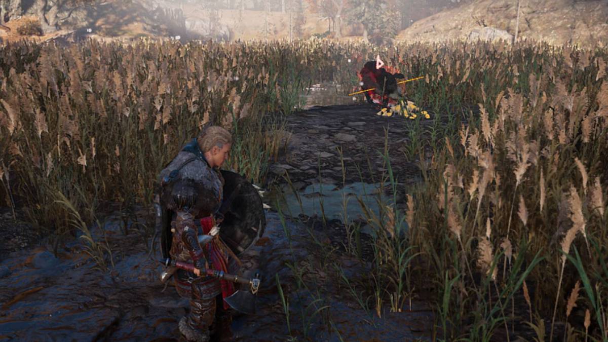 assassins creed valhalla blood swine