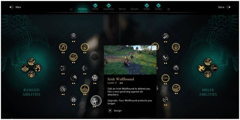 Assassin's Creed Valhalla Level Two Irish Wolfhound