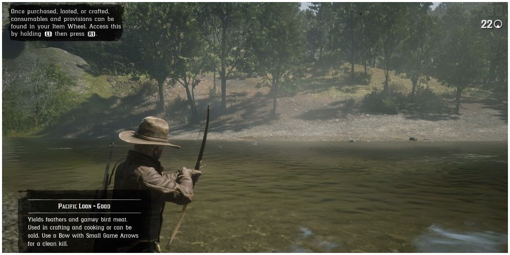 A player aiming their bow at a loon