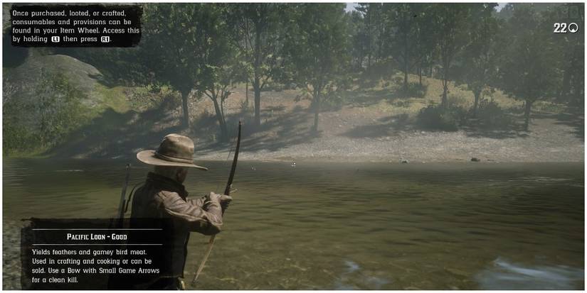 A player aiming their bow at a loon