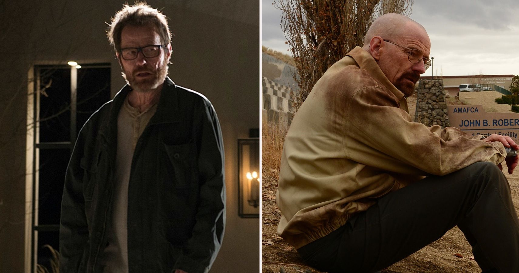 Breaking Bad: 5 Reasons 'Ozymandias' Was The Best Episode (And 5 Reasons  'The Fly' Was The Worst)