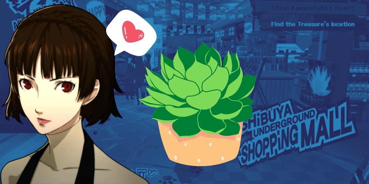 A picture of Makoto Niijima from Persona 5 royal against a blue background with a cactus