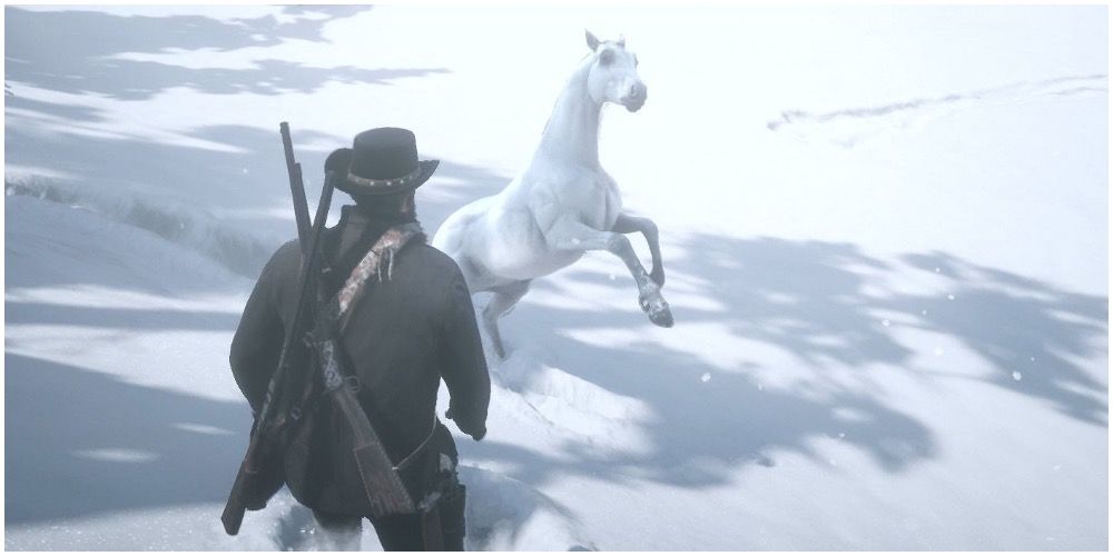 A player trying to calm down a White Arabian