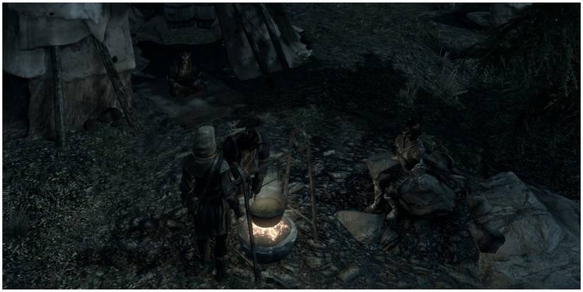 A Khajiit caravan found outside of a city