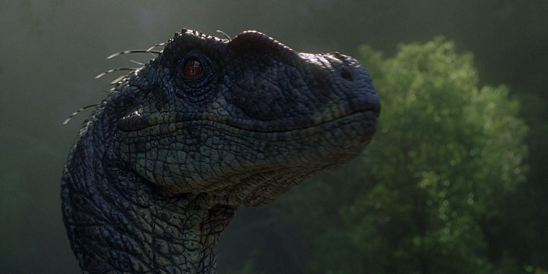 A feathered raptor in Jurassic Park III