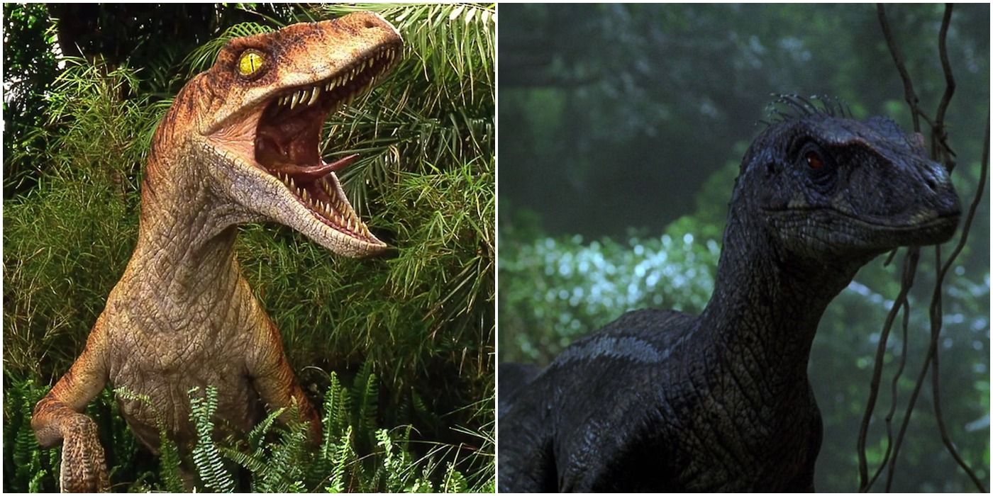The raptors in The Lost World: Jurassic Park and Jurassic Park III