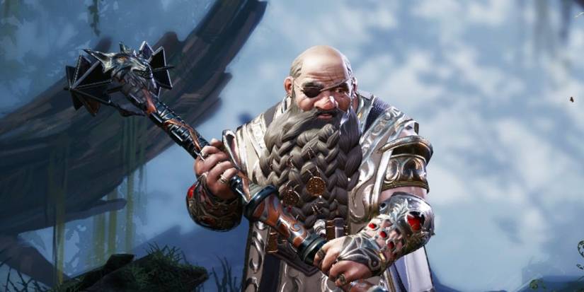 Polymorph Tank Divinity Divinity 2: 10 Reasons Polymorph Is The Best Class