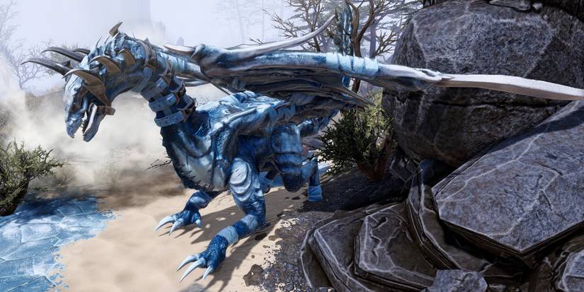 Divinity Original Sin 2 Winter Dragon