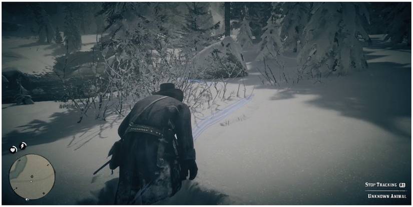 A player using Eagle Vision to search for animals