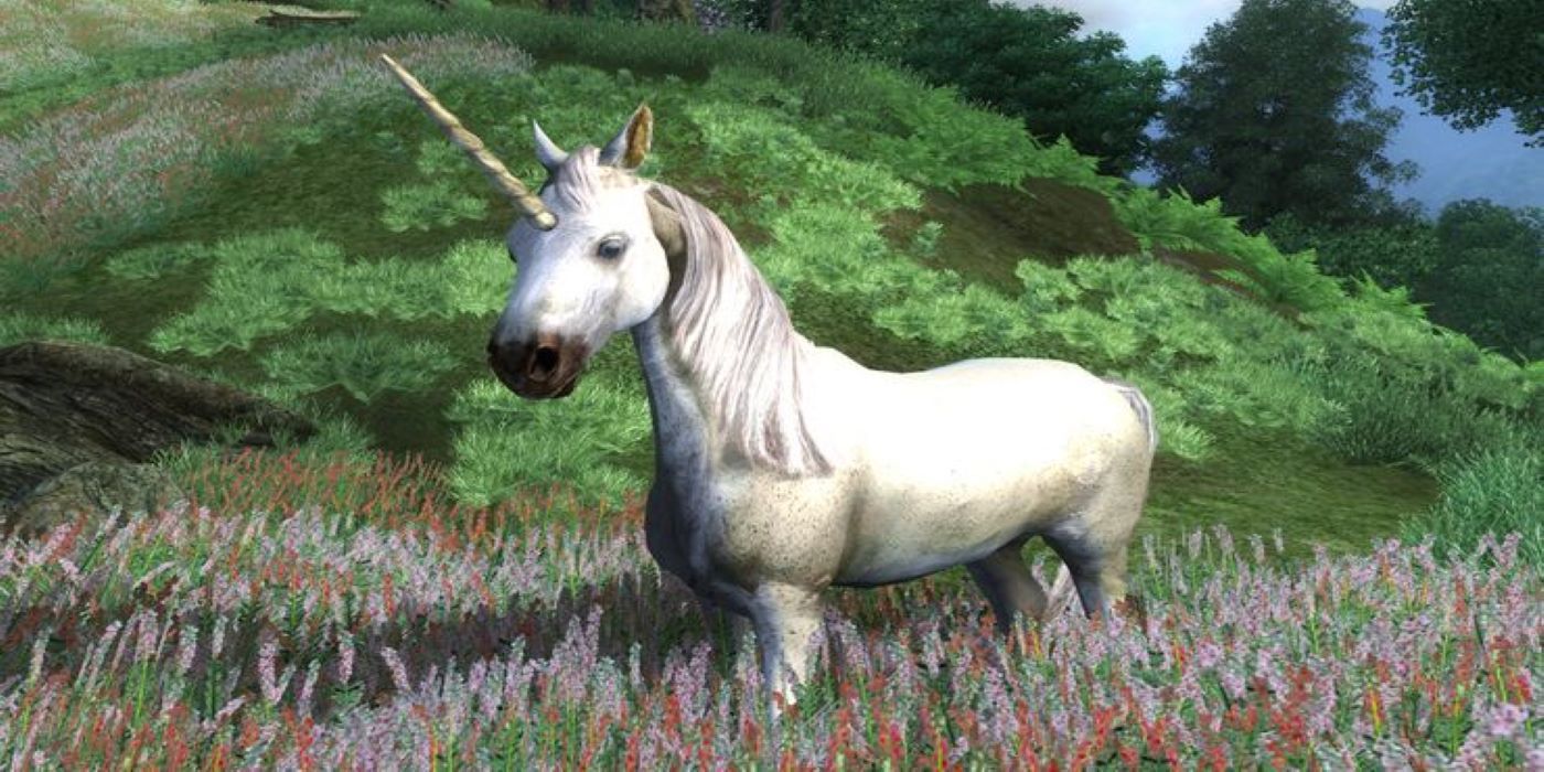 Elder Scrolls 10 Weirdest Encounters Unicorns Exist Oblivion