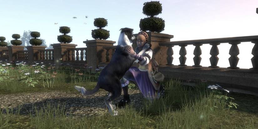 fable features dog