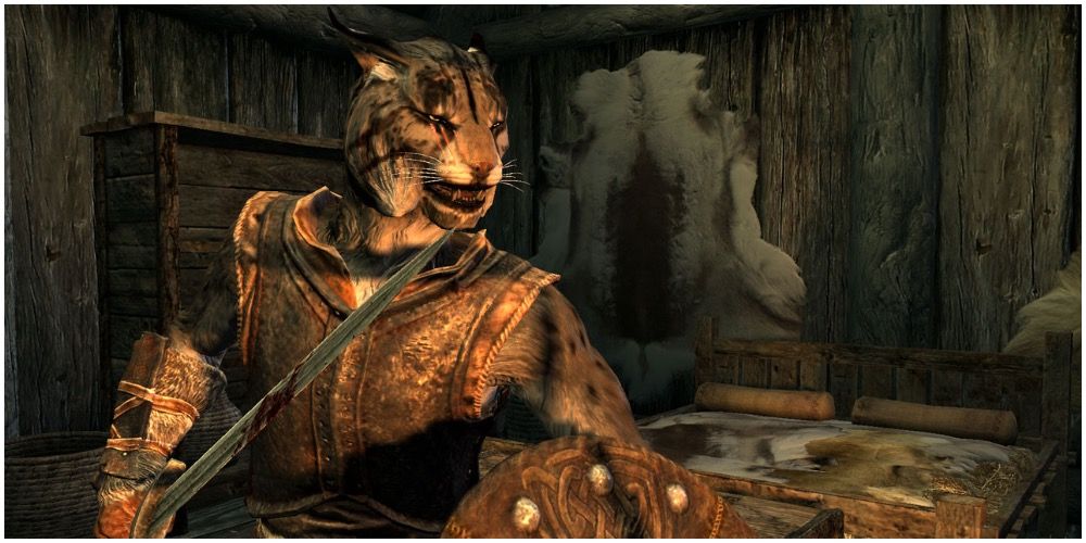 Skyrim Khajiit Preparing For An Attack With A Sword And Shield