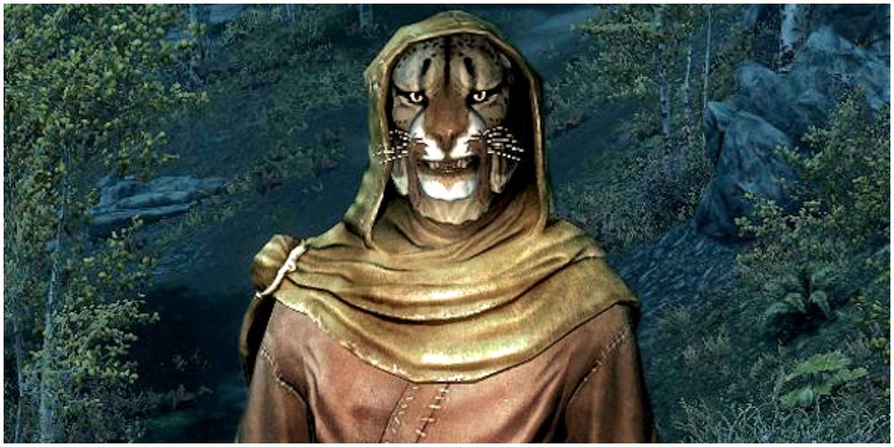 How Skyrims Khajiit Differ From Those in Morrowind Oblivion and More