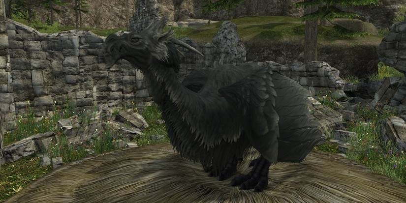 Final Fantasy 14 Seto