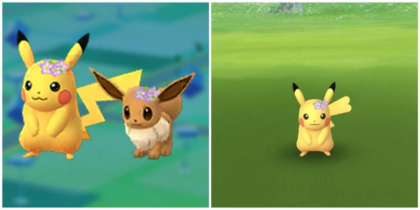 flower crown Pikachu and eevee special pikachu