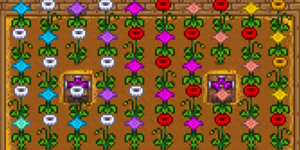 A field of planted flowers in Stardew Valley