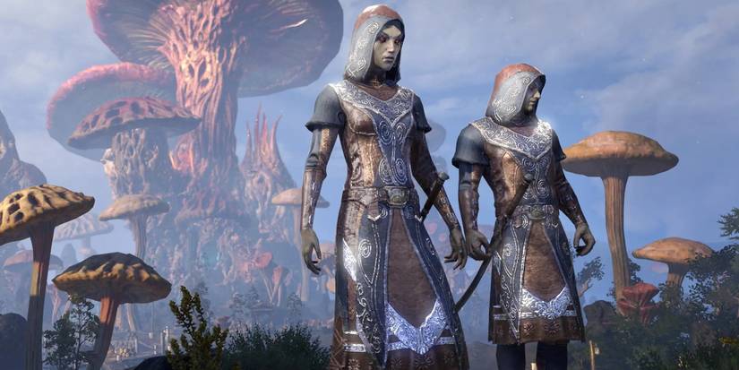 House Telvanni Morrowind