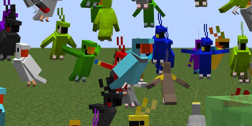 Taming Parrots in Minecraft