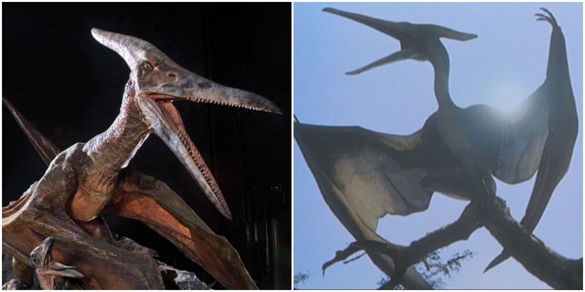 Screenshots of Jurassic Park Pteranodon
