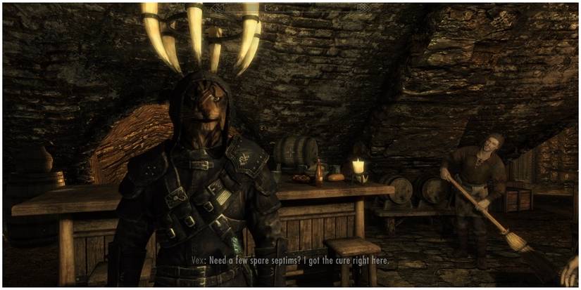 A Khajiit in Thieves Guild armor