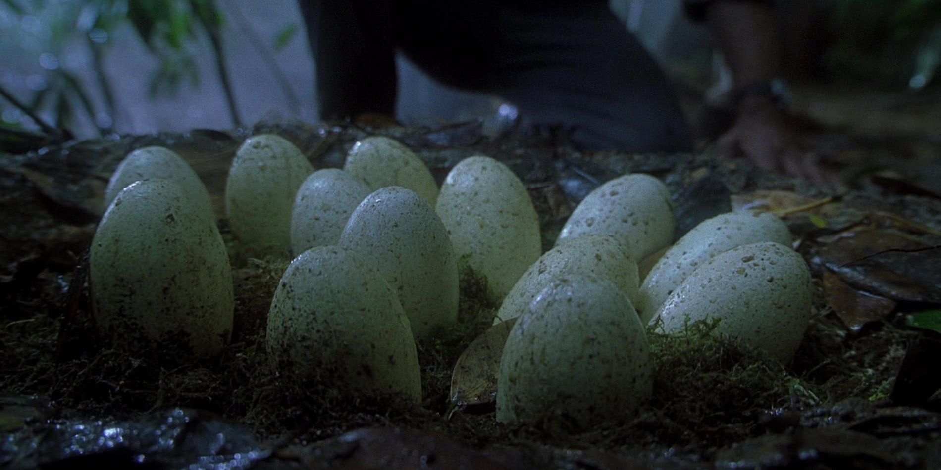 The raptor nest in Jurassic Park III