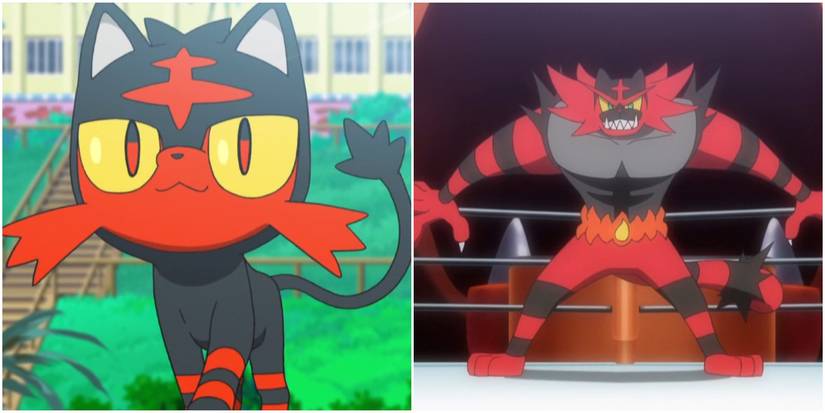 Pokemon Litten Incineroar