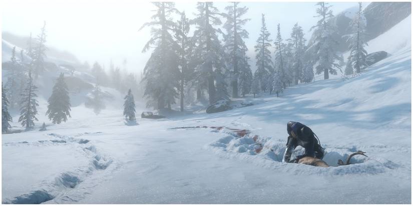 Animal tracks in the snow and an animal after being hunted