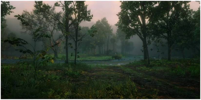 Trees on the main road of an area