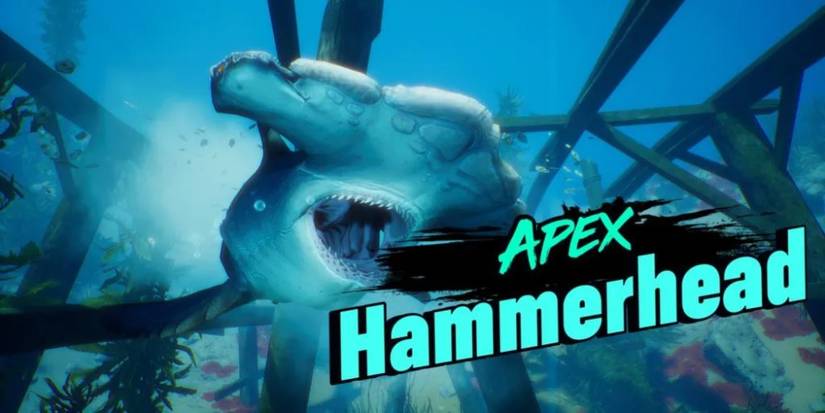 Apex Hammerhead encounter Maneater