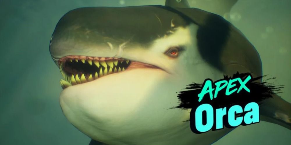 Maneater Everything You Need To Know About The Bone Set