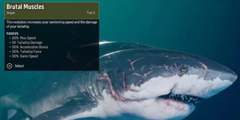 Level 5 Brutal Muscles organ evolution Maneater