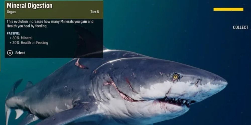 Maneater Everything You Need To Know About The Bone Set