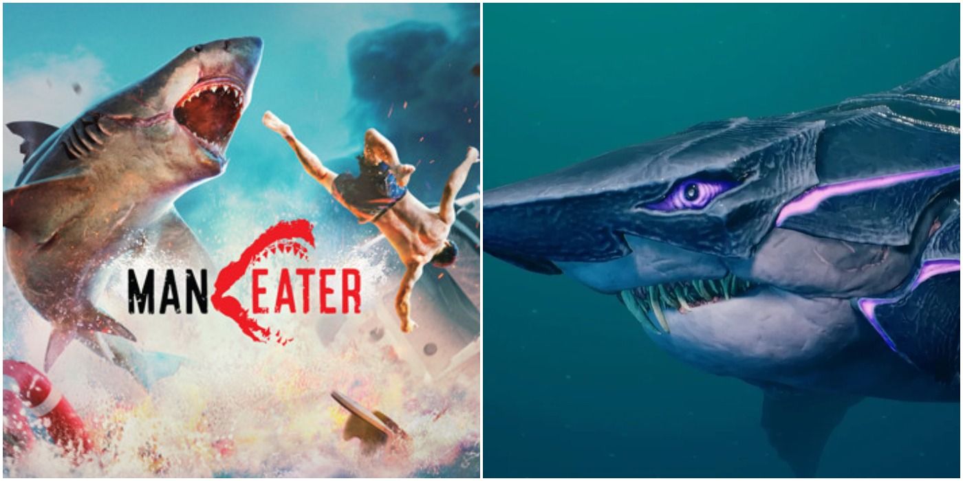 Maneater' is the best shark-based video game, just not a good video game, Great Indoors