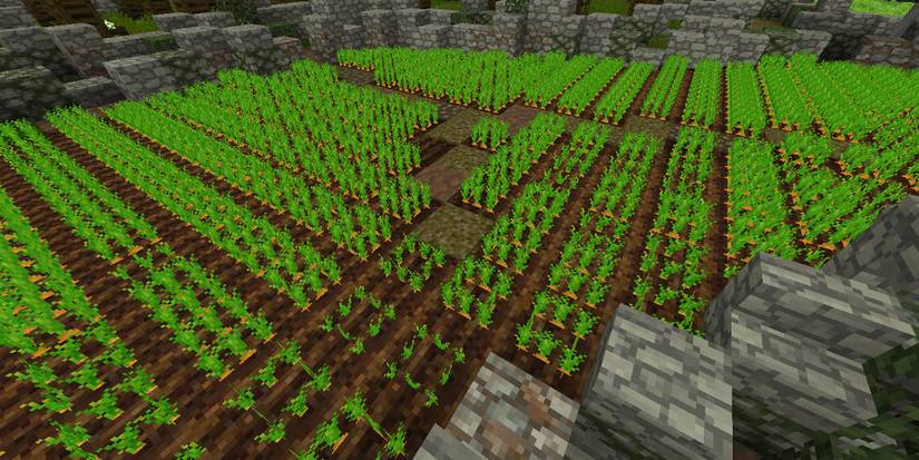 Carrots In Minecraft Minecraft: Everything You Need To Know About Growing Crops