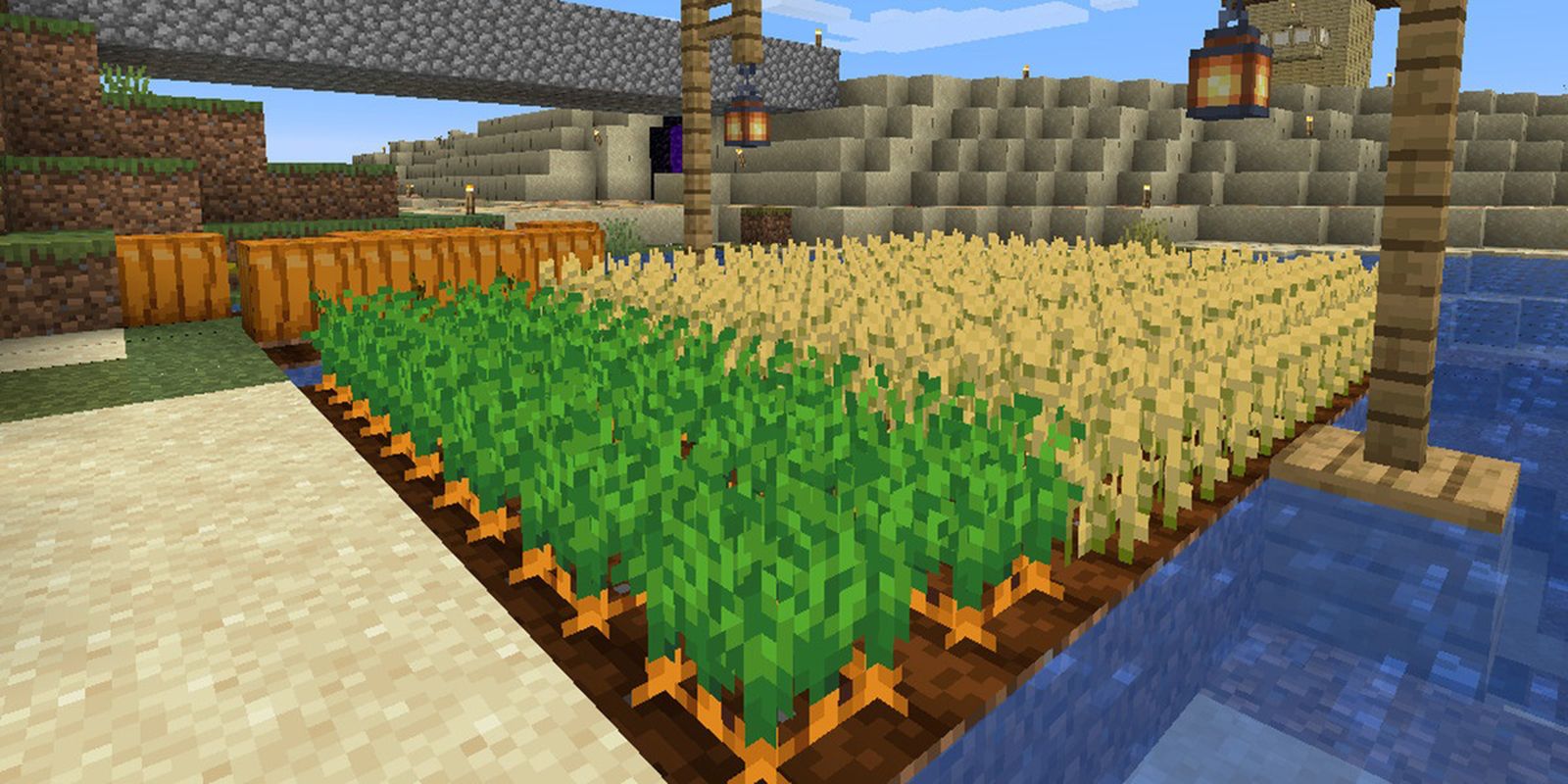 Урожай в Майнкрафте