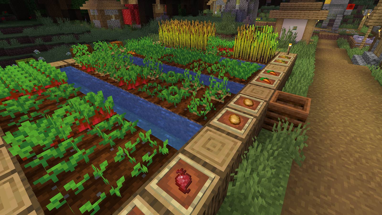 Minecraft Different Crops