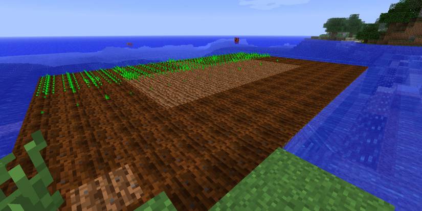 Minecraft Farmland