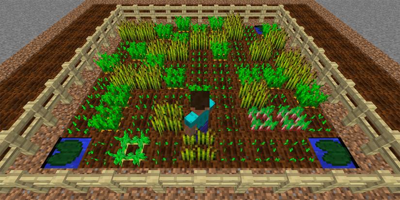 Minecraft Growth Rate Crops