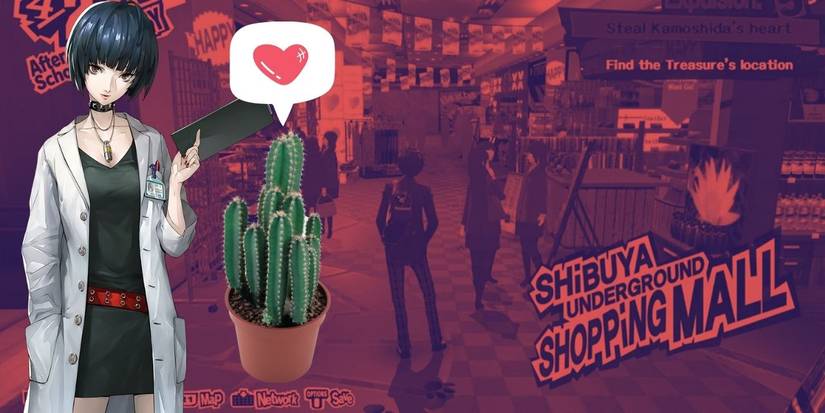 Mini Cactus in Persona 5