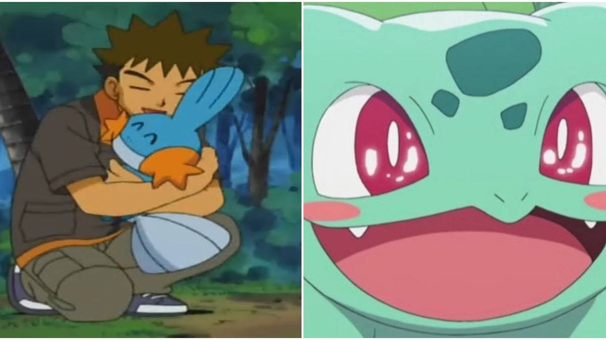 Brock hugging Mudkip (left); Bulbasaur (right)