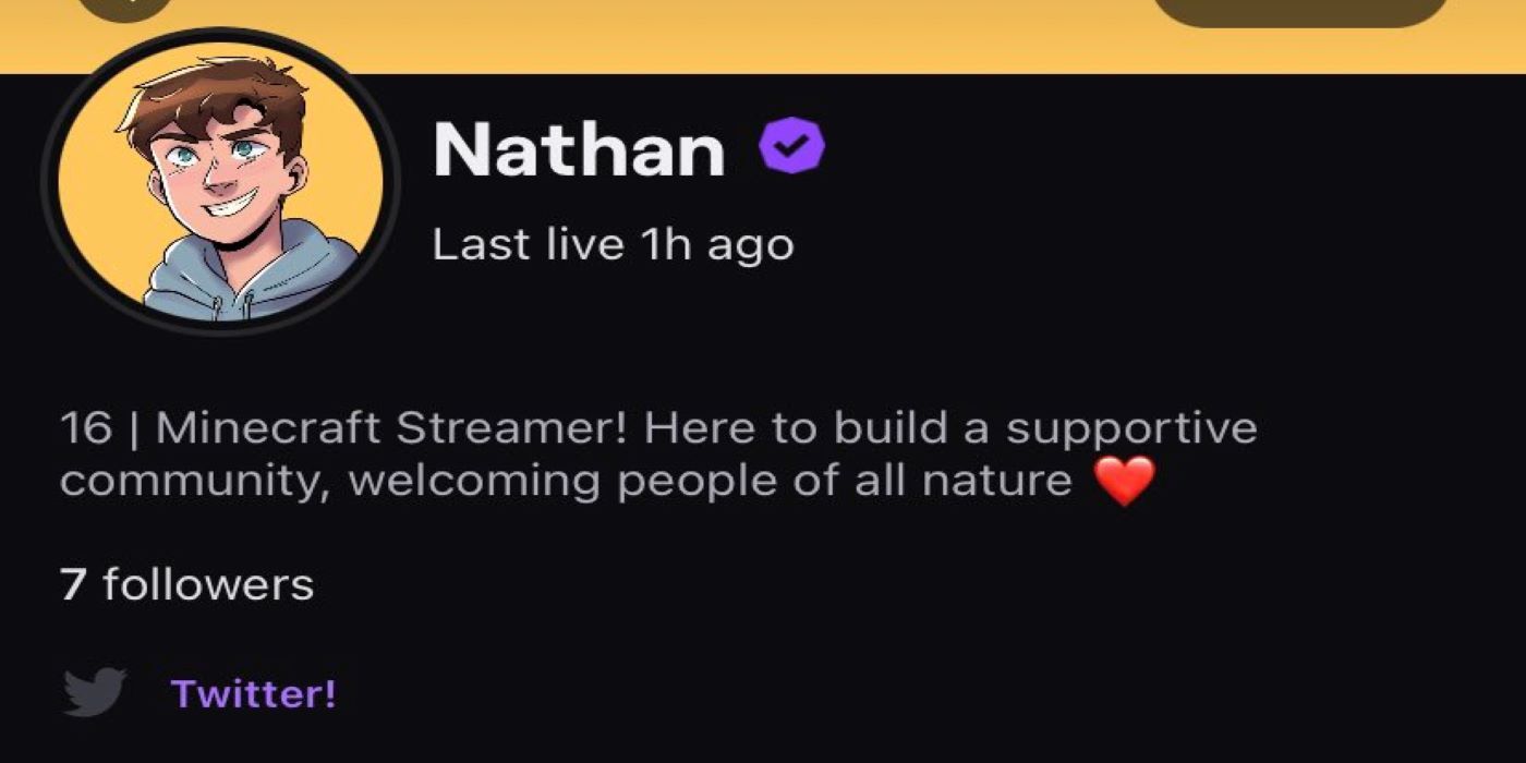 Nathan on Twitch loses all followers