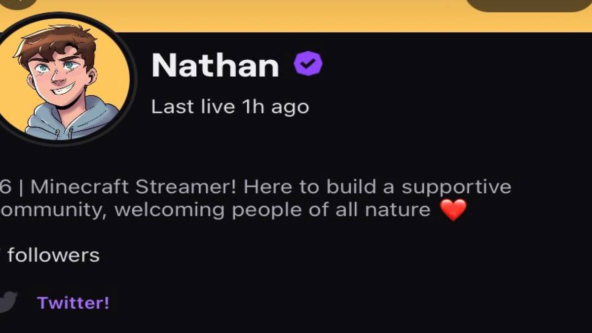 Nathan on Twitch loses all followers