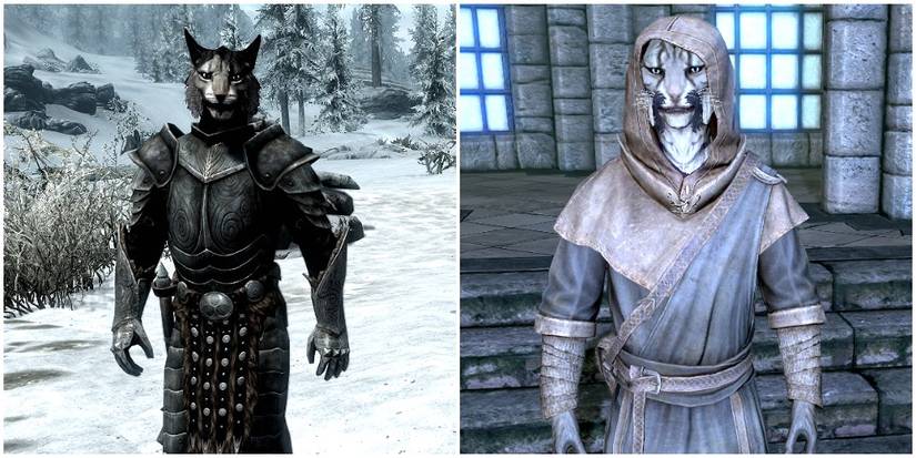 The two Khajiit followers in the game -- J'Zargo and Kharjo