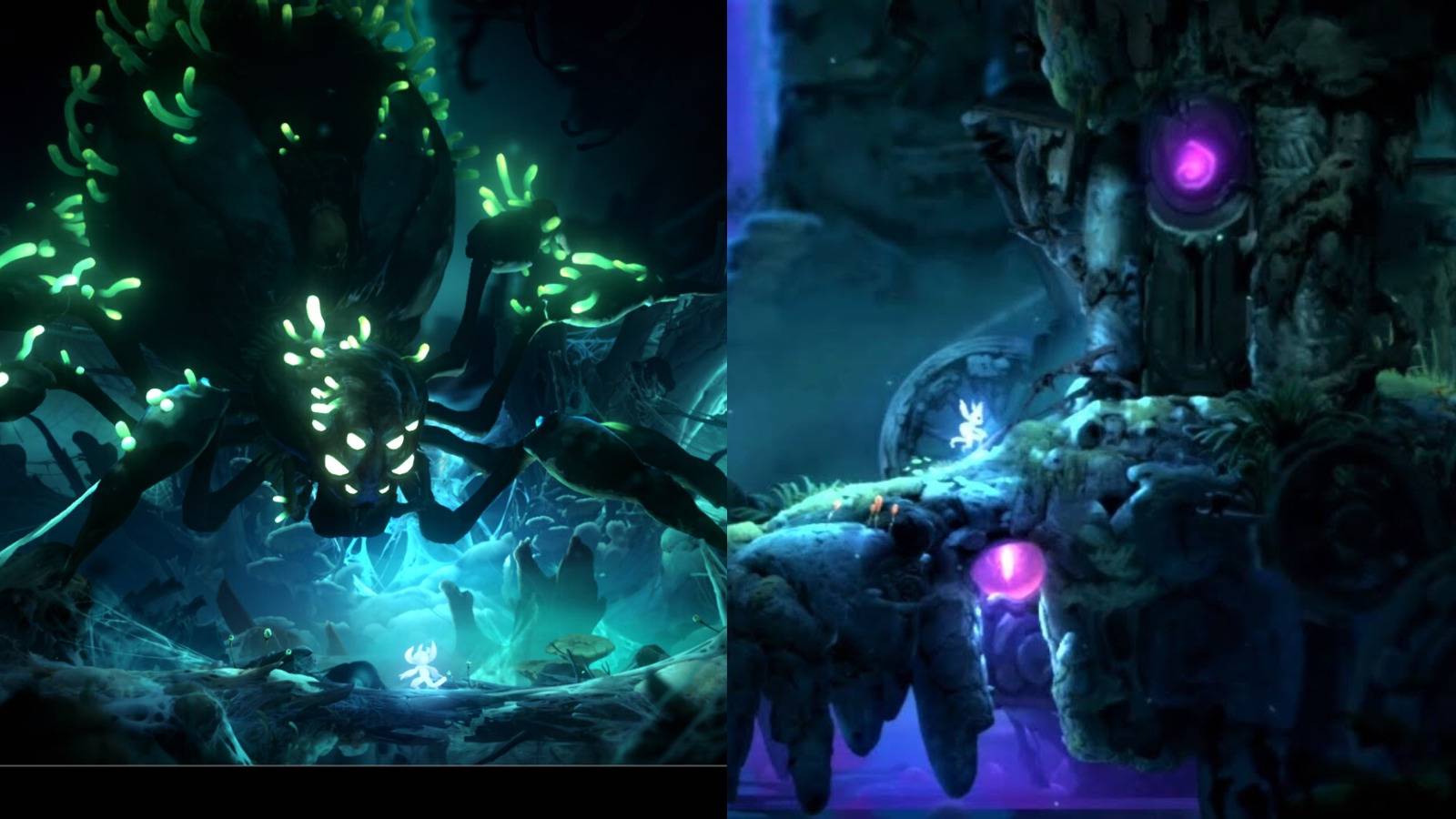 Ori And The Will Of The Wisps Mora Door