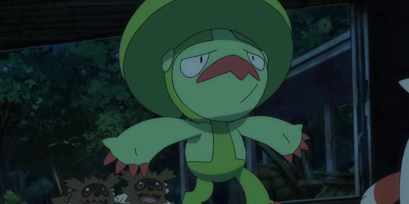 Pokemon Anime Lombre Protecting Zigzagoon