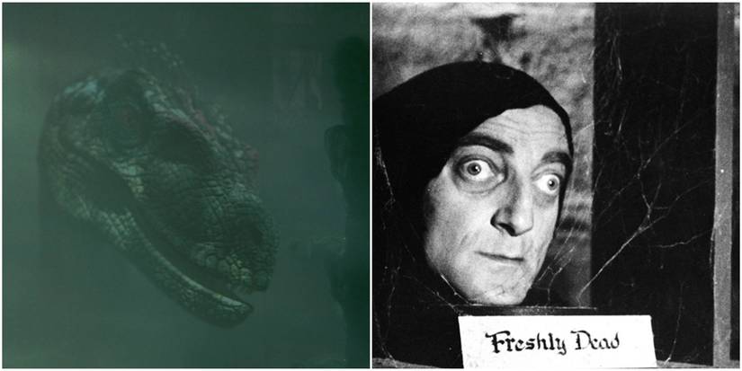 A raptor plays dead in Jurassic Park III like Igor in Young Frankenstein