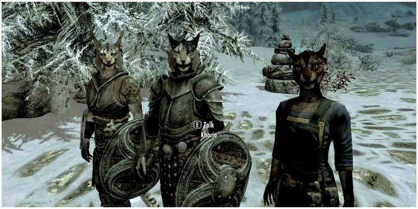 A group of Khajiit as they walk around Skyrim