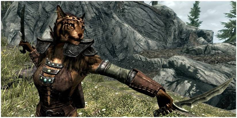 A Khajiit getting ready for combat