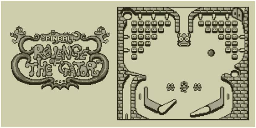 Revenge Of The 'Gator