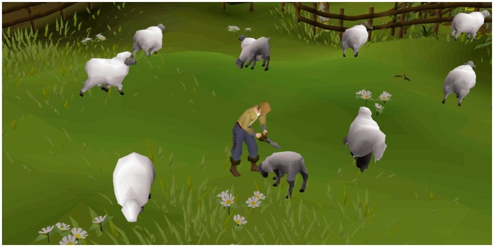 Sheep Sheerer Quest